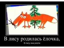 ����.jpg