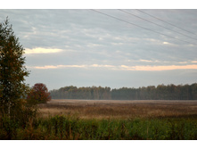 DSC_0414.JPG