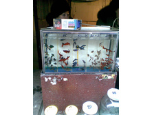 25.01.2009 11:47:28