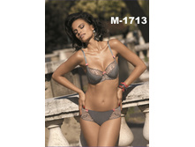 M-1713_enl.jpg