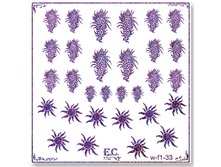 W-f1-33violet.png