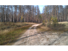 IMAG0971.jpg