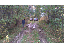 IMAG1000.jpg