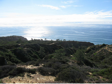 Torrey Pines State Reserve