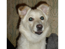 SAM_1995.JPG