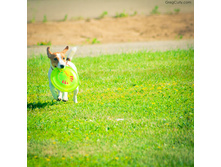 01.09.2010 14:29:33