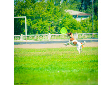 01.09.2010 14:29:49