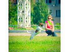 01.09.2010 14:29:57