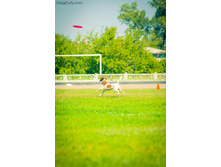 01.09.2010 14:31:14