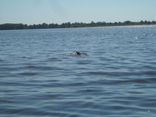 01.09.2010 16:09:07