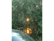 01.09.2010 16:26:17