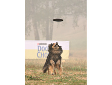 01.09.2010 17:46:38