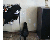 �����