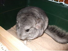DSCF6281.JPG