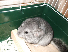 DSCF6280.JPG