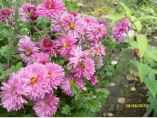 SDC18250.JPG