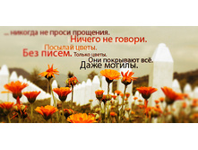 02.09.2010 8:46:01