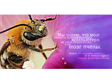 02.09.2010 8:46:56
