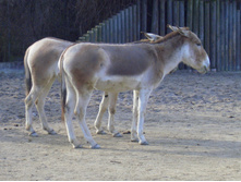 ����� � ������� 05,02,2007