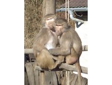 ����� � ������� 05,02,2007
