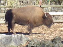 ����� � ������� 05,02,2007