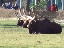 ����� � ������� 05,02,2007
