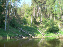 P1000071