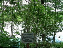 P1000149