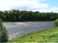 P1000160