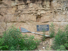 P1000163