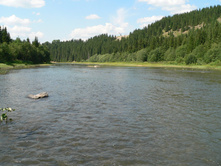 P1000077