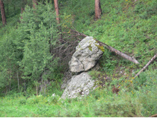 P1000078