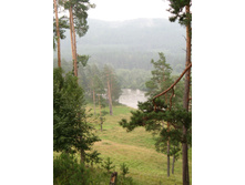 P1000080IMG_0329