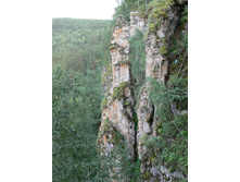 P1000311
