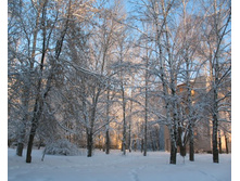 ��� ���� 16.02.07