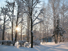 ����������� ������� 17.02.07