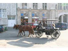 prah0769