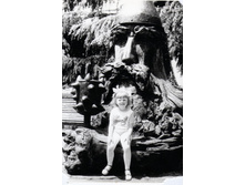 1982 ����