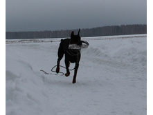 IMG_0861.JPG