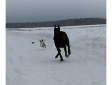 IMG_0896.JPG