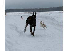 IMG_0906.JPG