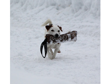 IMG_0956.JPG