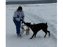 IMG_1027.JPG