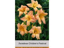 Childrens_Festival 59�.jpg