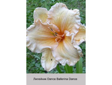 Dance_Ballerina_Dance 60�.jpg