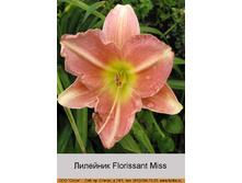 Florissant_Miss 46�.jpg