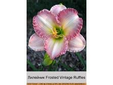 Frosted_Vintage_Ruffles 99�.jpg