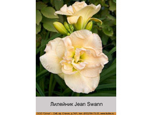 Jean_Swann 125�.jpg