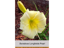 Longfields_Pearl 72�.jpg