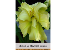 Maymont_Double 127�.jpg